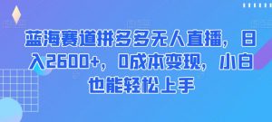 蓝海赛道拼多多无人直播,日入2600+,0成本变现,小白也能轻松上手【揭秘】-阳知网创资源库