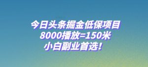 今日头条掘金低保项目，8000播放=150米，小白副业首选【揭秘】-阳知网创资源库
