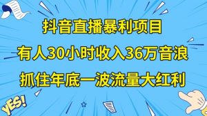 抖音直播暴利项目,有人30小时收入36万音浪,公司宣传片年会视频制作,抓住年底一波流量大红利【揭秘】-阳知网创资源库