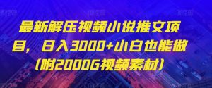 最新解压视频小说推文项目,日入3000+小白也能做(附2000G视频素材)【揭秘】-阳知网创资源库