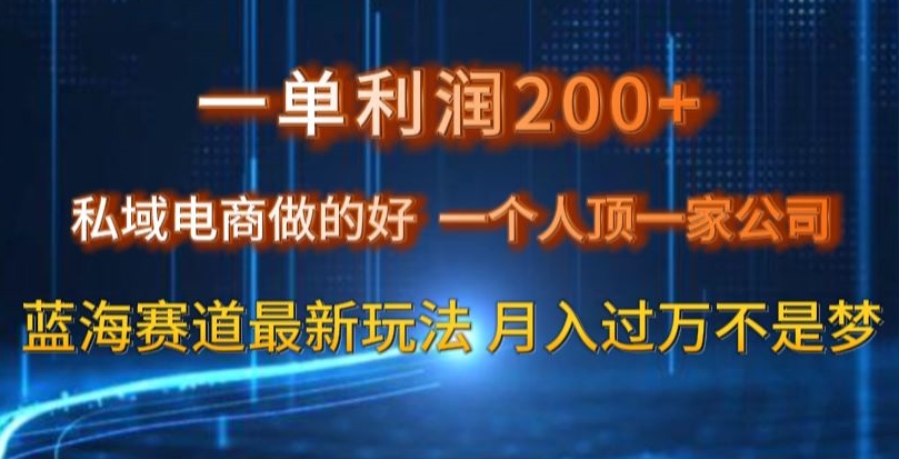 一单利润200私域电商做的好，一个人顶一家公司蓝海赛道最新玩法【揭秘】-阳知网创资源库
