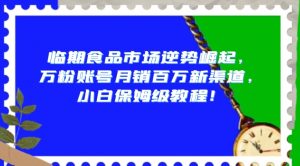 临期食品市场逆势崛起,万粉账号月销百万新渠道,小白保姆级教程【揭秘】-阳知网创资源库