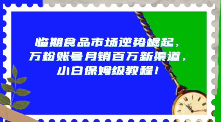 临期食品市场逆势崛起,万粉账号月销百万新渠道,小白保姆级教程【揭秘】-阳知网创资源库