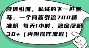 怎么搞精准创业粉?微信新赛道,每天一小时,利用Ai一个问答日引100精准粉-阳知网创资源库