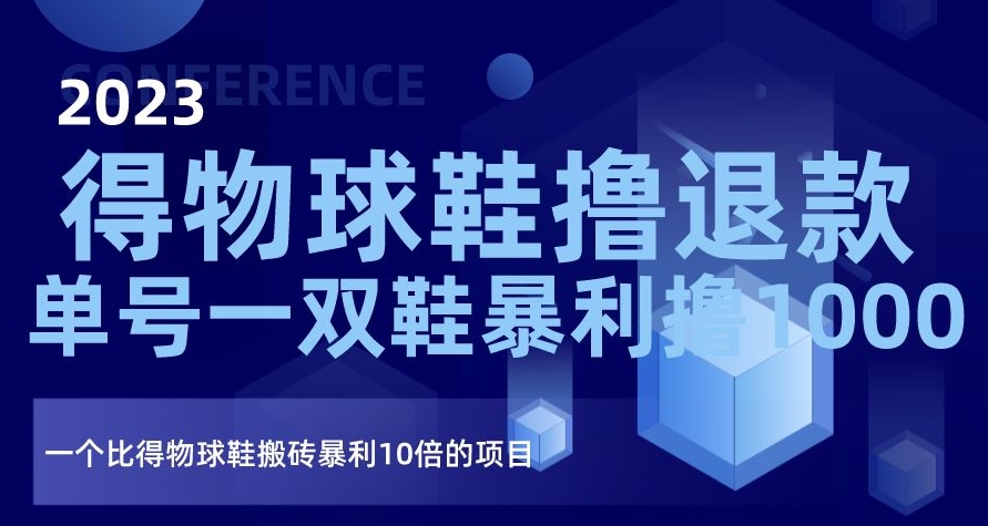 2023得物球鞋撸退款，单号一双鞋暴利撸1000，一个比得物球鞋搬砖暴利10倍的项目【揭秘】-阳知网创资源库