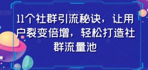 11个社群引流秘诀，让用户裂变倍增，轻松打造社群流量池-阳知网创资源库