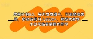 男粉计划6.0,每天发发图片,引流精准男粉,被动变现月入8000+,喂饭式教学,小白无脑复制操作即可-阳知网创资源库