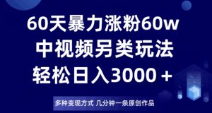 60天暴力涨粉60W，中视频另类玩法，日入3000＋，几分钟一条原创作品多种变现方式-阳知网创资源库