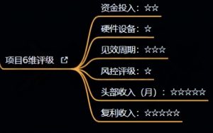 十万个富翁修炼宝典之4.一个大学生操作这个项目，一个月能搞一万-阳知网创资源库
