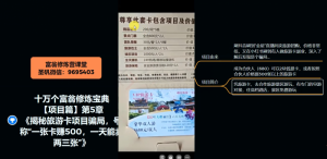 十万个富翁修炼宝典之5.揭秘旅游卡项目骗局,号称“一张卡赚500,一天能卖两三张”-阳知网创资源库