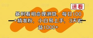 暴利看相命理测算,每日100+精准粉,小白易上手,3天收益1000+【揭秘】-阳知网创资源库