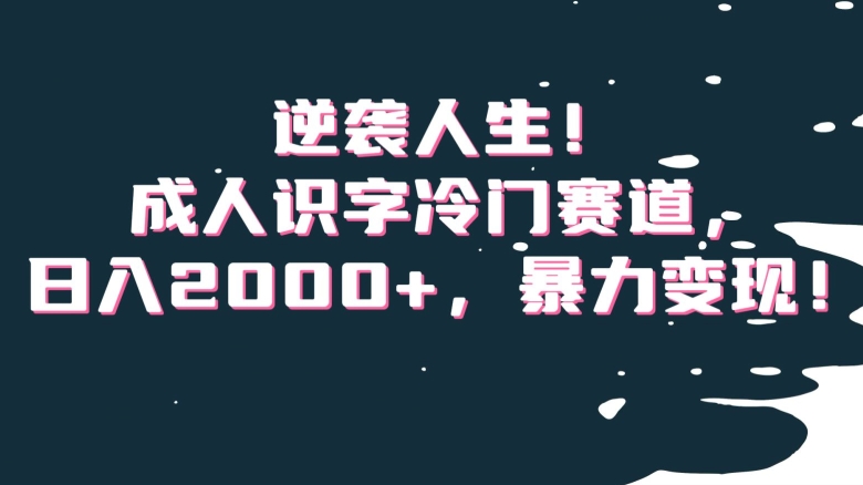 逆袭人生!成人识字冷门赛道,日入2000+,暴力变现!【揭秘】-阳知网创资源库