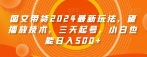 图文带货2024最新玩法，破播放技术，三天起号，小白也能日入500+【揭秘】-阳知网创资源库