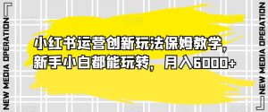 小红书运营创新玩法保姆教学,新手小白都能玩转,月入6000+【揭秘】-阳知网创资源库