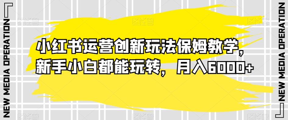 小红书运营创新玩法保姆教学,新手小白都能玩转,月入6000+【揭秘】-阳知网创资源库