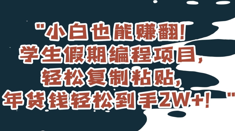 小白也能赚翻!学生假期编程项目,轻松复制粘贴,年货钱轻松到手2W+【揭秘】-阳知网创资源库