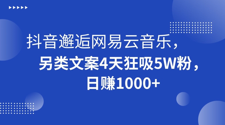 抖音邂逅网易云音乐,另类文案4天狂吸5W粉,日赚1000+【揭秘】-阳知网创资源库