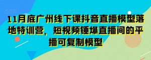 11月底广州线下课抖音直播模型落地特训营,短视频锤爆直播间的平播可复制模型-阳知网创资源库