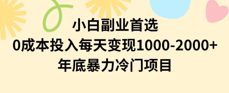 小白副业首选，0成本投入，每天变现1000-2000年底暴力冷门项目【揭秘】-阳知网创资源库
