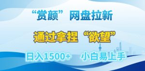 “赏颜”网盘拉新赛道,通过拿捏“欲望”日入1500+,小白易上手【揭秘】-阳知网创资源库