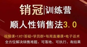 爆款!销冠训练营3.0之顺人性销售法,全方位解决销售难题、可落地、可执行、有结果-阳知网创资源库