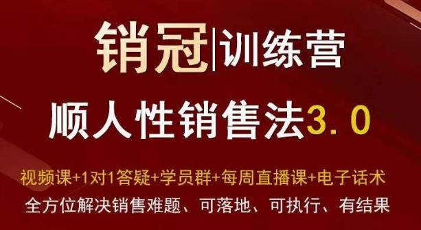 爆款!销冠训练营3.0之顺人性销售法,全方位解决销售难题、可落地、可执行、有结果-阳知网创资源库