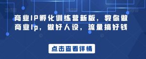 商业IP孵化训练营新版,教你做商业Ip,做好人设,流量搞好钱-阳知网创资源库
