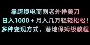 靠跨境电商割老外挣美刀,日入1000+月入几万轻轻松松!多种变现方式,落地保姆级教程【揭秘】-阳知网创资源库