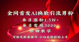 全网首发Ai换脸引流男粉，单日涨粉1.5w+，单日变现3000+，小白也能轻松上手拿结果【揭秘】-阳知网创资源库