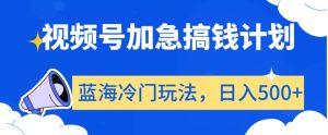视频号加急搞钱计划,蓝海冷门玩法,日入500+【揭秘】-阳知网创资源库