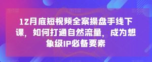 12月底短视频全案操盘手线下课,如何打通自然流量,成为想象级IP必备要素-阳知网创资源库