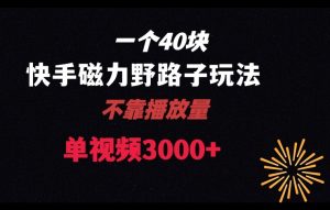 一个40块，快手联合美团磁力新玩法，无视机制野路子玩法，单视频收益4位数【揭秘】-阳知网创资源库