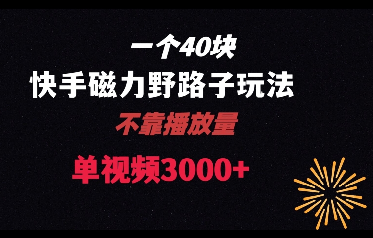 一个40块,快手联合美团磁力新玩法,无视机制野路子玩法,单视频收益4位数【揭秘】-阳知网创资源库