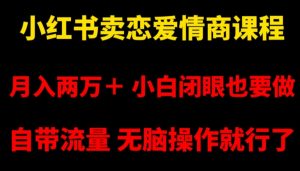 小红书卖恋爱情商课程,月入两万+,小白闭眼也要做,自带流量,无脑操作就行了【揭秘】-阳知网创资源库