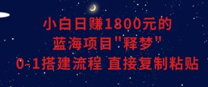 小白能日赚1800元的蓝海项目”释梦”0-1搭建流程可直接复制粘贴长期做【揭秘】-阳知网创资源库