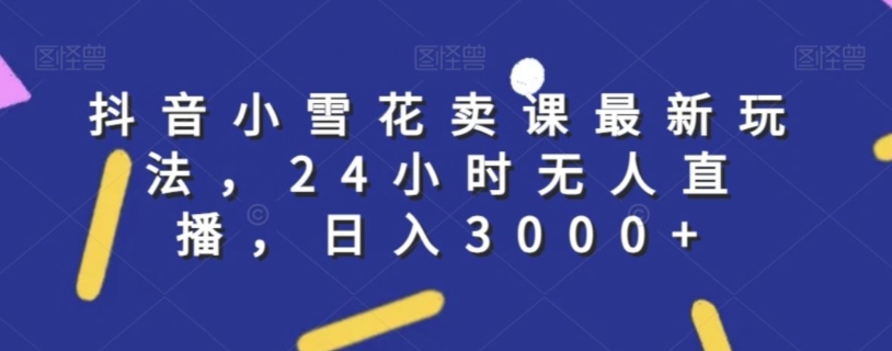抖音小雪花卖课最新玩法，24小时无人直播，日入3000+【揭秘】-阳知网创资源库