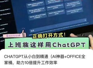 CHATGPT从小白到精通,AI神器+OFFICE全家桶,助力10倍提升工作效率-阳知网创资源库