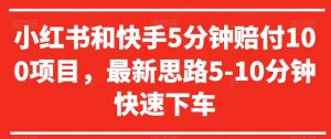小红书和快手5分钟赔付100项目，最新思路5-10分钟快速下车【仅揭秘】-阳知网创资源库