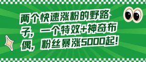 两个快速涨粉的野路子,一个特效+神奇布偶,粉丝暴涨5000起【揭秘】-阳知网创资源库
