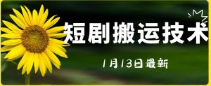 最新短剧搬运技术，电脑手机都可以操作，不限制机型-阳知网创资源库