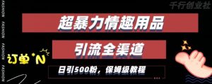 最新情趣项目引流全渠道,自带高流量,保姆级教程,轻松破百单,日引500+粉【揭秘】-阳知网创资源库