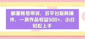 明星账号带货，多平台矩阵操作，一条作品收益500+，小白轻松上手【揭秘】-阳知网创资源库