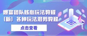 爆富团队核心玩法教程(新)各种玩法混剪教程-阳知网创资源库