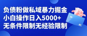 负债粉私域暴力掘金,小白操作入5000,无经验限制,无条件限制【揭秘】-阳知网创资源库