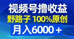 视频号野路子撸收益，100%原创，条条爆款，月入6000＋【揭秘】-阳知网创资源库