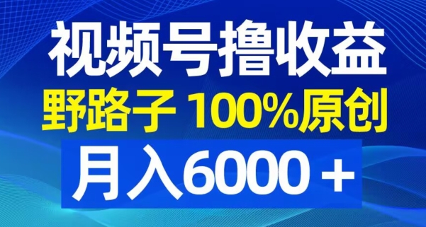 视频号野路子撸收益，100%原创，条条爆款，月入6000＋【揭秘】-阳知网创资源库