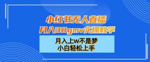 小红书无人直播月入30gmv实操教学,月入上w不是梦,小白轻松上手【揭秘】-阳知网创资源库