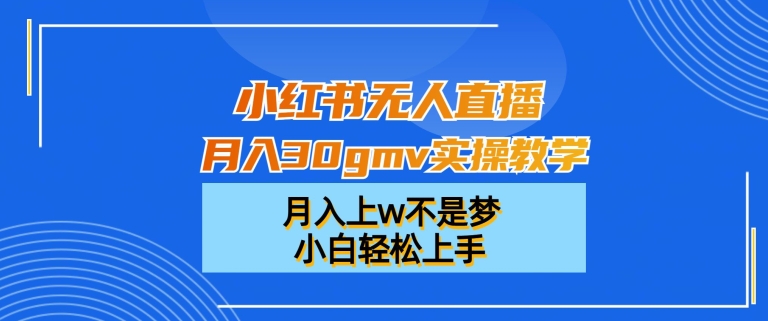 小红书无人直播月入30gmv实操教学,月入上w不是梦,小白轻松上手【揭秘】-阳知网创资源库