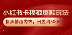 小红书卡模板爆款玩法，售卖情趣内衣，日盈利500+【揭秘】-阳知网创资源库