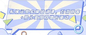 私域运营实操培训课,引流获客+转化变现双增长驱动-阳知网创资源库
